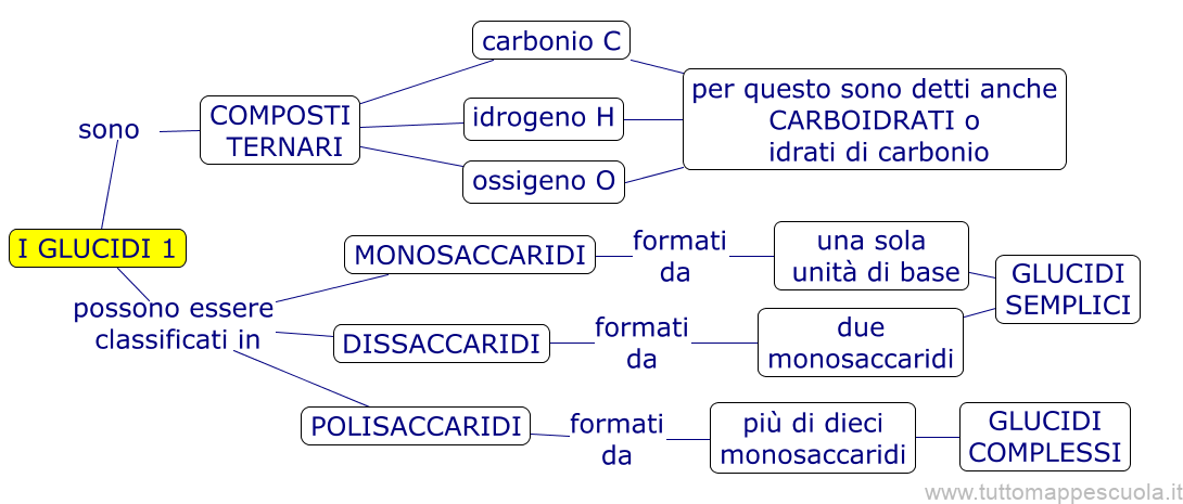 I glucidi
