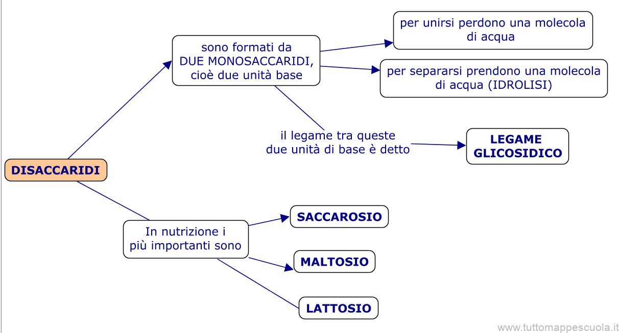 Disaccaridi