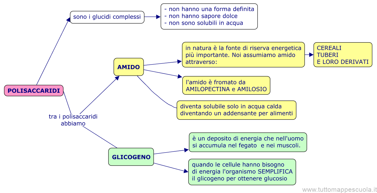 Polisaccaridi